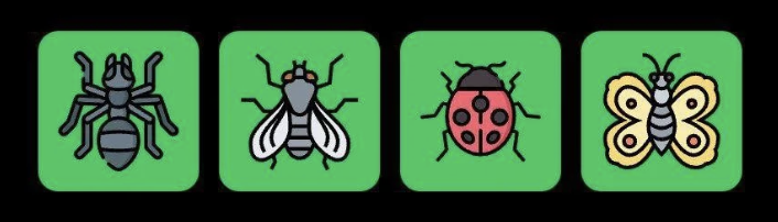 FLIES Daily Combo 28 April 2025